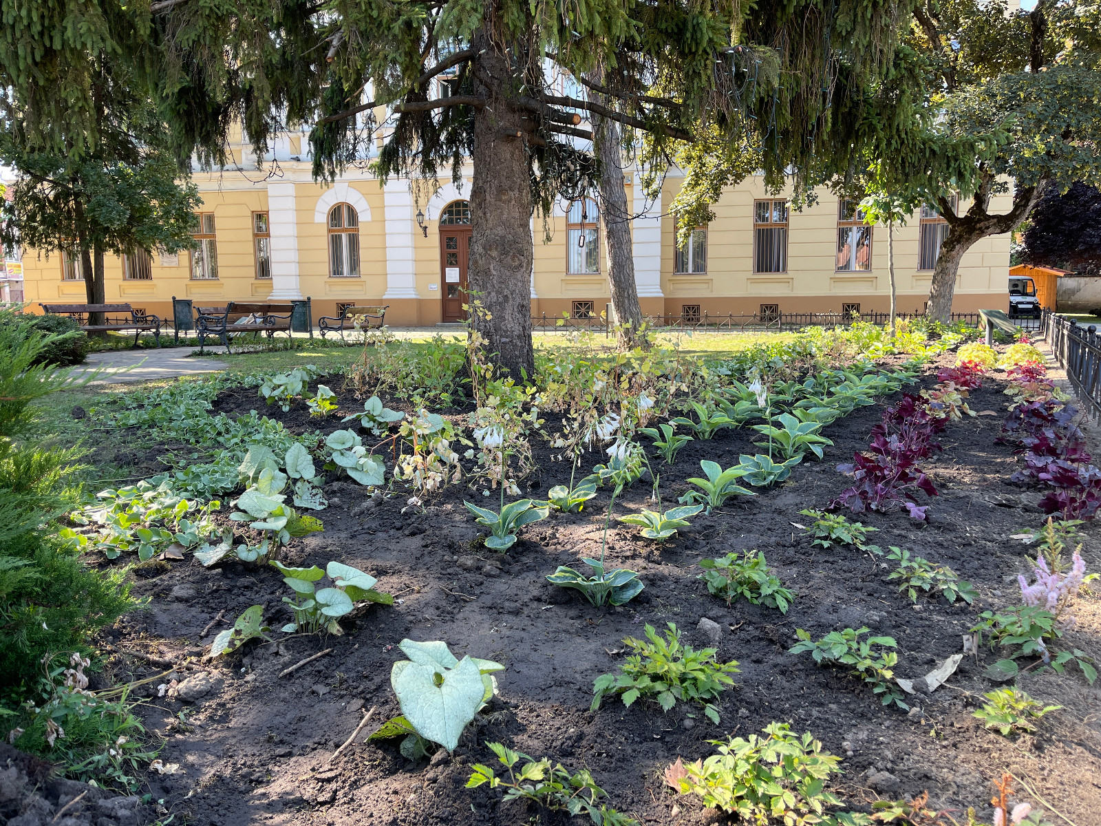 IMG_0659.JPG IMG_0659.JPG